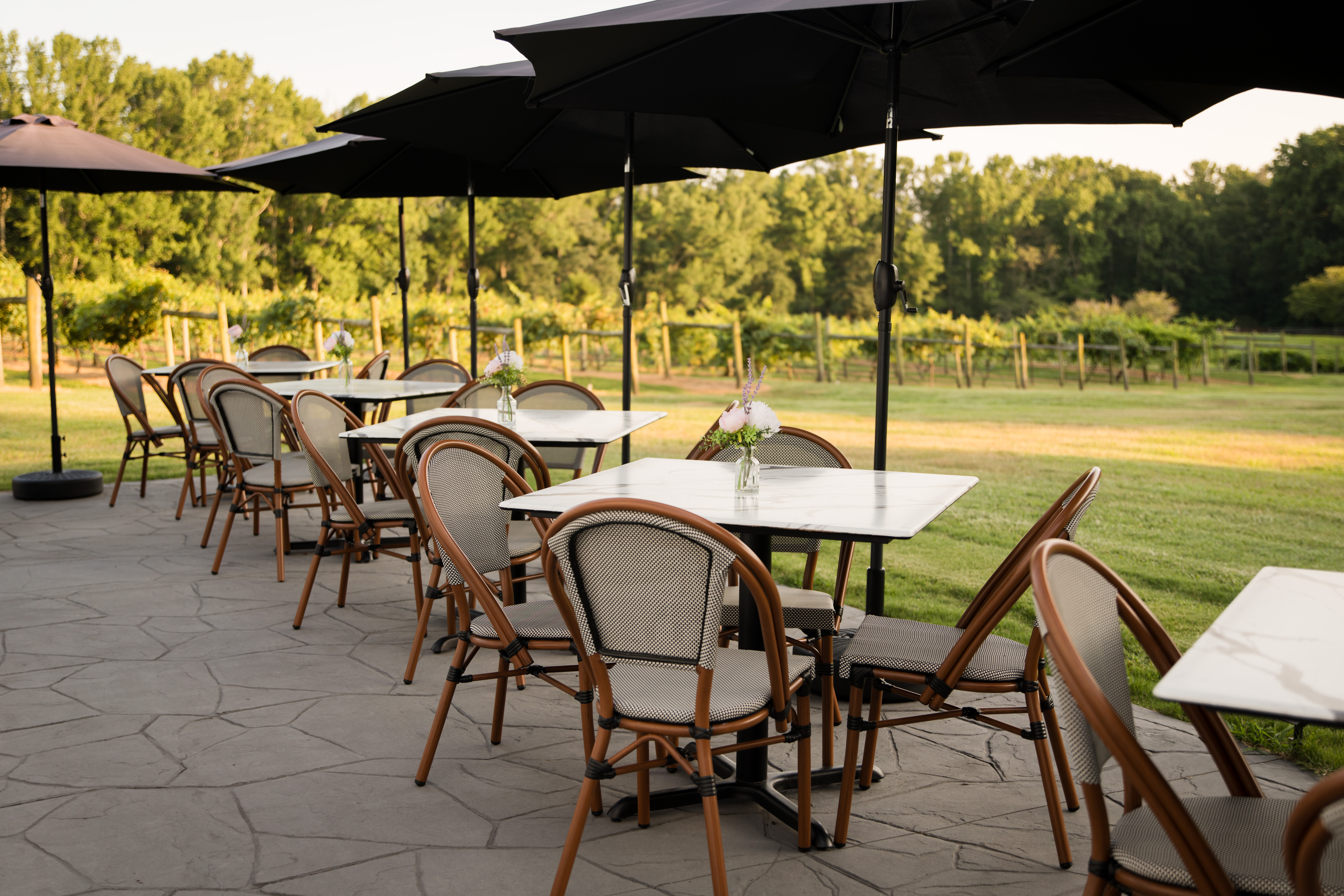 The Patio at golden hour